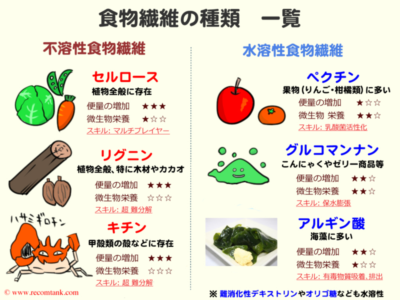 図解で簡単 専門家が 食物繊維の機能と便秘解消 を解説するよ レコメンタンク