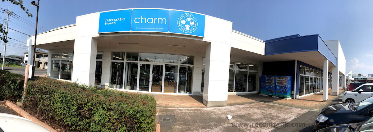 チャーム Charm 館林店レポ 300坪の巨大アクアリウムショップをガチレビュー レコメンタンク